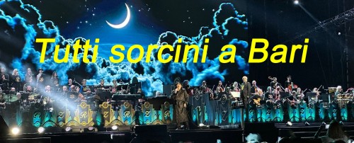 Sorcini