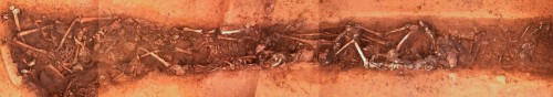 La sepoltura collettiva di età neolitica (circa 7,000 anni fa) di Schöneck-Kilianstädten, in Germania, testimonianza del massacro di almeno 26 individui, diversi dei quali furono mutilati. Immagine dalla rivista PNAS (112, 2015).