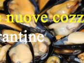 cozze-di-Taranto-1 copia