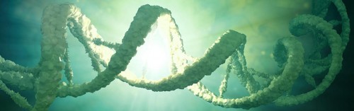 L’estrazione del DNA antico (aDNA) dai resti fossili ha dischiuso nuove impreviste prospettive nella ricostruzione della nostra storia biologica (immagine dalla rivista Science, 2017)