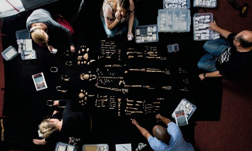 I resti di Homo naledi rinvenuti in Sudafrica, una specie umana di tipo arcaico vissuta tra 330 mila e 230 mila fa che convisse per qualche tempo con i primi umani di tipo sapiens (immagine dalla rivista Science, 2015)