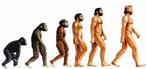 L'evoluzione umana "possibile" (immagine internet)