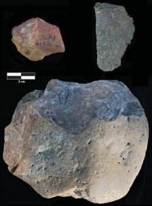 All’epoca della comparsa dei primi rappresentanti del genere Homo, poco meno di 3 milioni di anni fa, un ominino non umano, probabilmente il Paranthropus, utilizzò degli strumenti litici di tipo “olduvaiano” comunemente considerati di produzione esclusivamente umana. In Africa orientale, strumenti litici sono stati trovati anche in livelli vecchi di 3.3 milioni di anni, dunque precedenti la presenza umana (immagine dalla rivista Science, 2023)