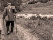 I tratturi, le strade della transumanza tra Abruzz0 e Puglia (mmagine internet)