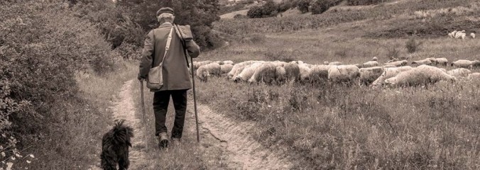 I tratturi, le strade della transumanza tra Abruzz0 e Puglia (mmagine internet)