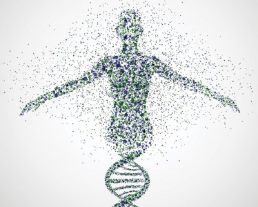 L’estrazione del DNA antico e di alcune proteine dai resti ossei e dentari di individui neandertaliani e sapiens fossili permette di fare inferenze sulle dinamiche demografiche e sulla variabilità genetica delle rispettive popolazioni (immagine dalla rivista Science, 2023)