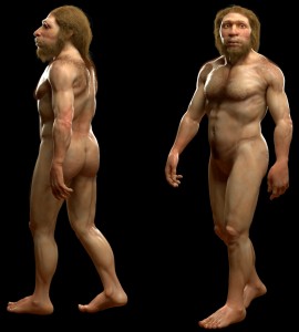 Ricostruzione artistica iper-realistica di un adulto neandertaliano ottenuto attraverso tecniche di formazione di immagini ad alta risoluzione a partire dalla morfologia dei resti fossili (immagine del Musée d’Angoulême, Francia, 2022)