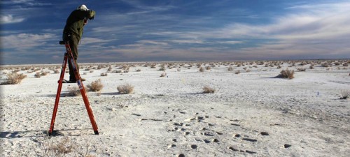 La pista delle impronte nel parco nazionale delle Sabbie Bianche, nel Nuovo Messico, dove sono state rinvenute le tracce del passaggio di diversi esseri umani che, insieme ad altri mammiferi, si spostarono lungo le sponde di un antico lago intorno a 23,000 anni fa (immagine dalla rivista Science, 2018)