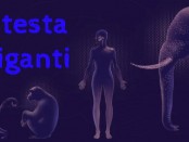 Rispetto alla massa corporea che deve coordinare, il cervello umano è sproporzionatamente voluminoso se confrontato a quello di qualsiasi altro organismo, vivente o estinto, e rappresenta infatti il nostro organo più dispendioso dal punto di vista energetico (immagine dalla rivista Nature, 2024)