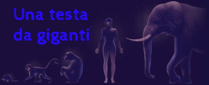 Rispetto alla massa corporea che deve coordinare, il cervello umano è sproporzionatamente voluminoso se confrontato a quello di qualsiasi altro organismo, vivente o estinto, e rappresenta infatti il nostro organo più dispendioso dal punto di vista energetico (immagine dalla rivista Nature, 2024)