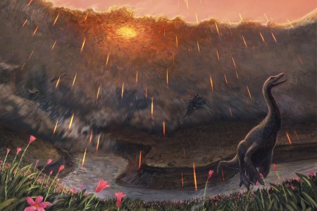 Ricostruzione artistica dei primi attimi dopo l’impatto del meteorite di Chicxulub che 66 milioni di anni fa determinò, tra le altre, l’estinzione dei dinosauri (tranne quelli della linea aviana che genererà gli uccelli neorniti). Secondo analisi istologiche e geochimiche dello smalto dentario di alcuni vertebrati, l’impatto avvenne in un giorno di primavera (immagine dalla rivista Science, 2022)