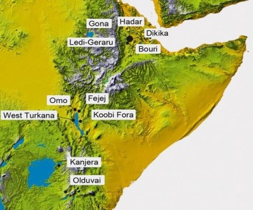 Distribuzione dei siti di maggiore interesse paleoantropologico e preistorico lungo la porzione del Grande Rift compresa tra l’Etiopia, a N, e la Tanzania, a S. L’estremità nord-orientale corrisponde alla depressione del triangolo dell’Afar da cui provengono i resti umani più antichi tra quelli rinvenuti finora, come la mandibola di Ledi-Geraru (immagine dalla rivista Science, 2015)